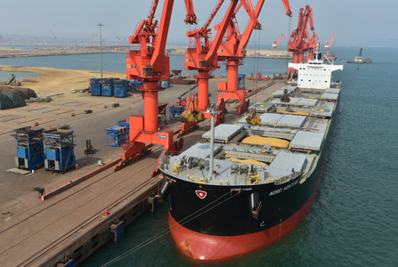 2022年11月第周围内贸海运集装箱运费报价佛山?海内部分口岸