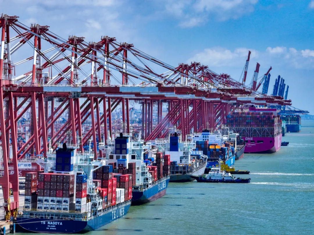 海运价钱一览表|10月青岛到广东/广西/福建各个都会海运价钱如下