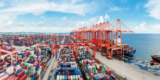 海运价钱一览表|10月青岛到广东/广西/福建各个都会海运价钱如下