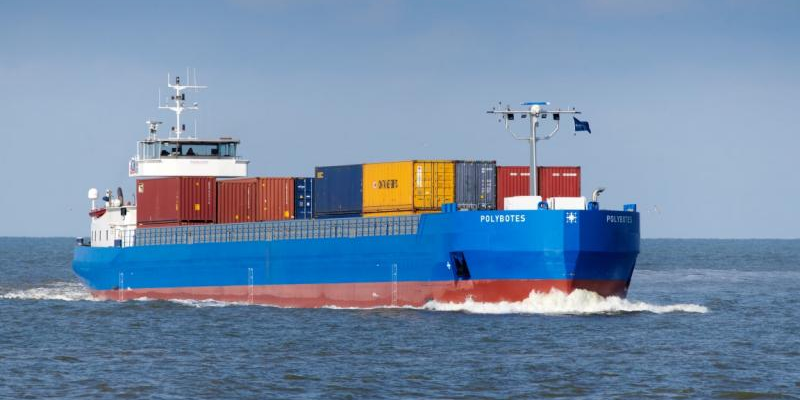 武汉阳逻集装箱港上半年完成集装箱吞吐量114万标箱  --  尊龙官方网站物流