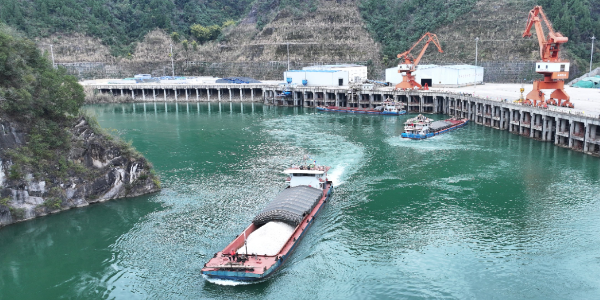 内贸船运公司正通过价钱战坚持海运运量  --  尊龙官方网站物流