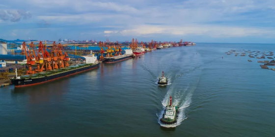 2024年10月广东到天津门到门海运价钱  --  尊龙官方网站物流