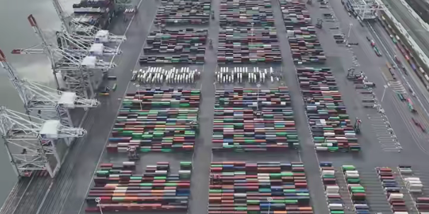 7月首条海运运价破万航线泛起  --  尊龙官方网站物流