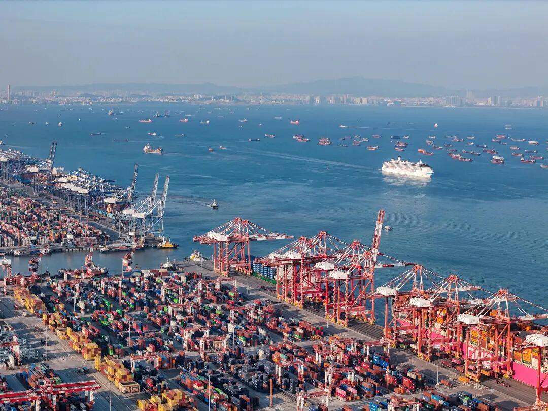 海运订舱，，，，，，直接找船公司真的更划算吗？？？？