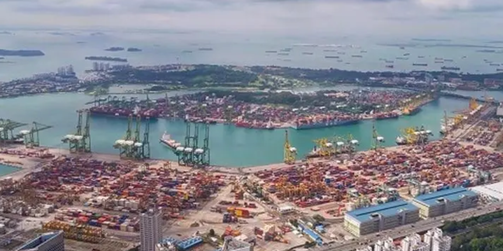 尊龙官方网站 - (中国区)首页