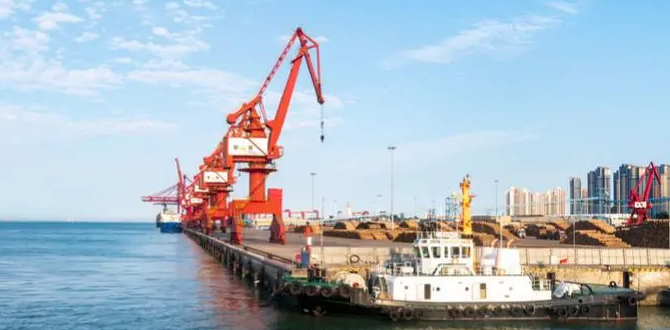 尊龙官方网站 - (中国区)首页