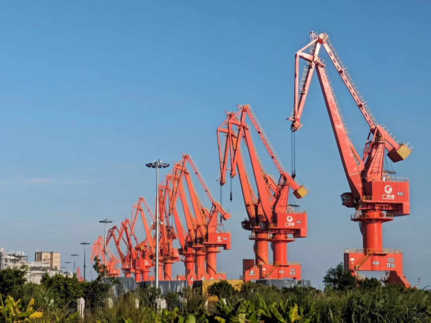 尊龙官方网站 - (中国区)首页