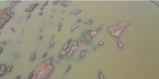 尊龙官方网站 - (中国区)首页