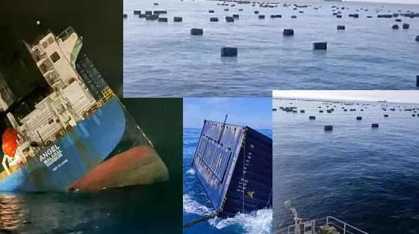 尊龙官方网站 - (中国区)首页