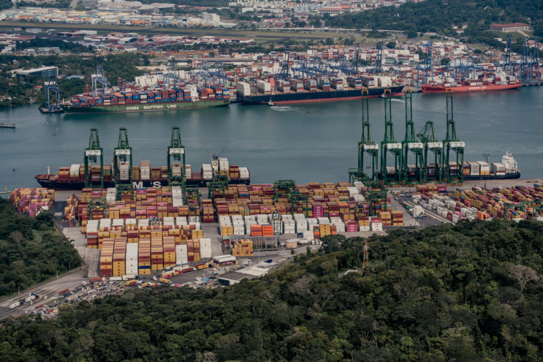 尊龙官方网站 - (中国区)首页