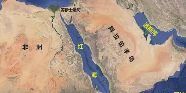 尊龙官方网站 - (中国区)首页